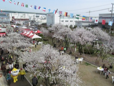 20150321almond_fest03.JPG