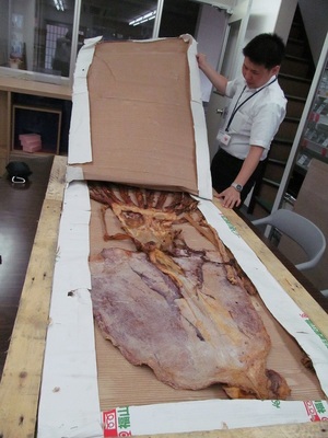 20150727daiouika_kenkyusho06.JPG